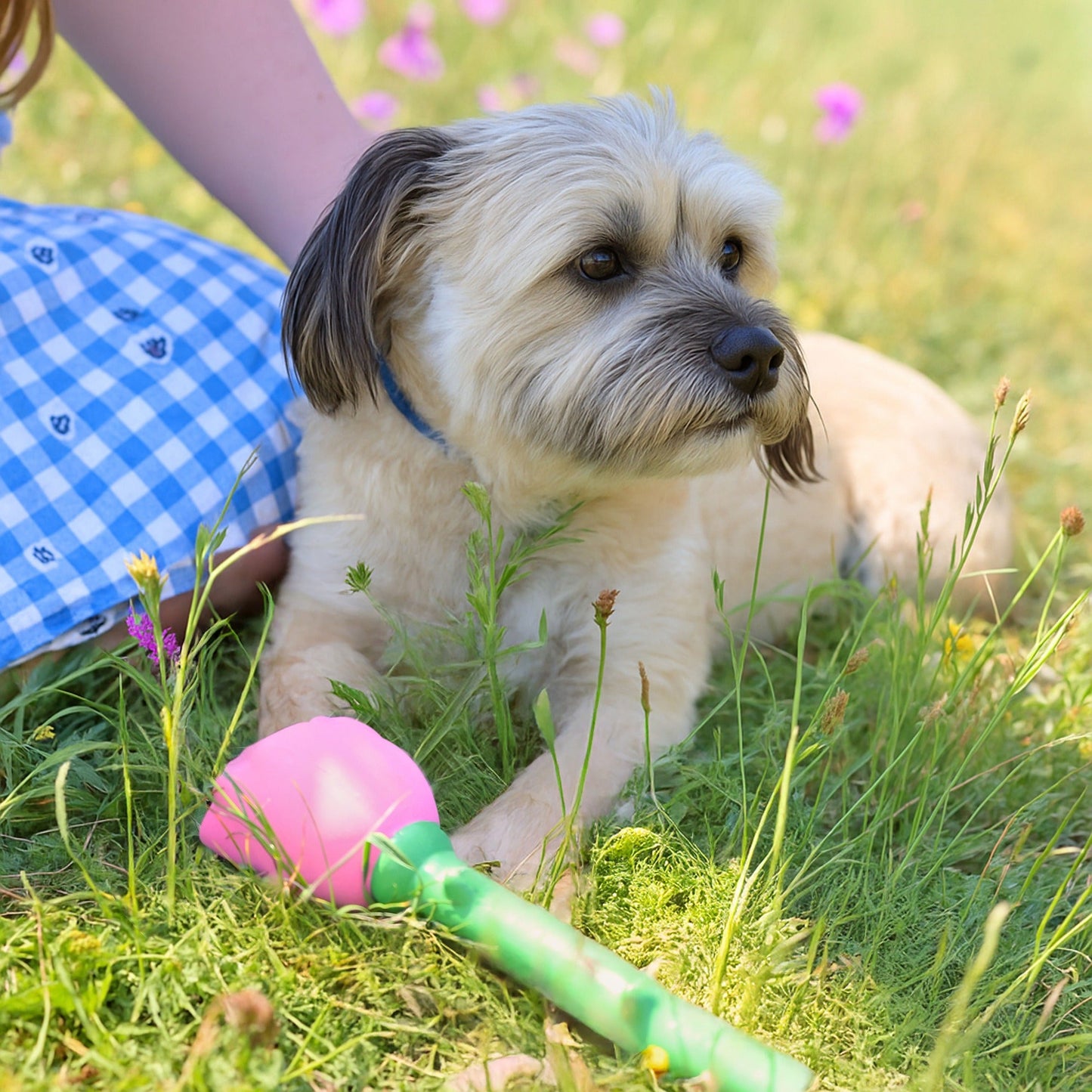 Cath Kidston Dolly Rose Latex Rose Dog Toy - One Size
