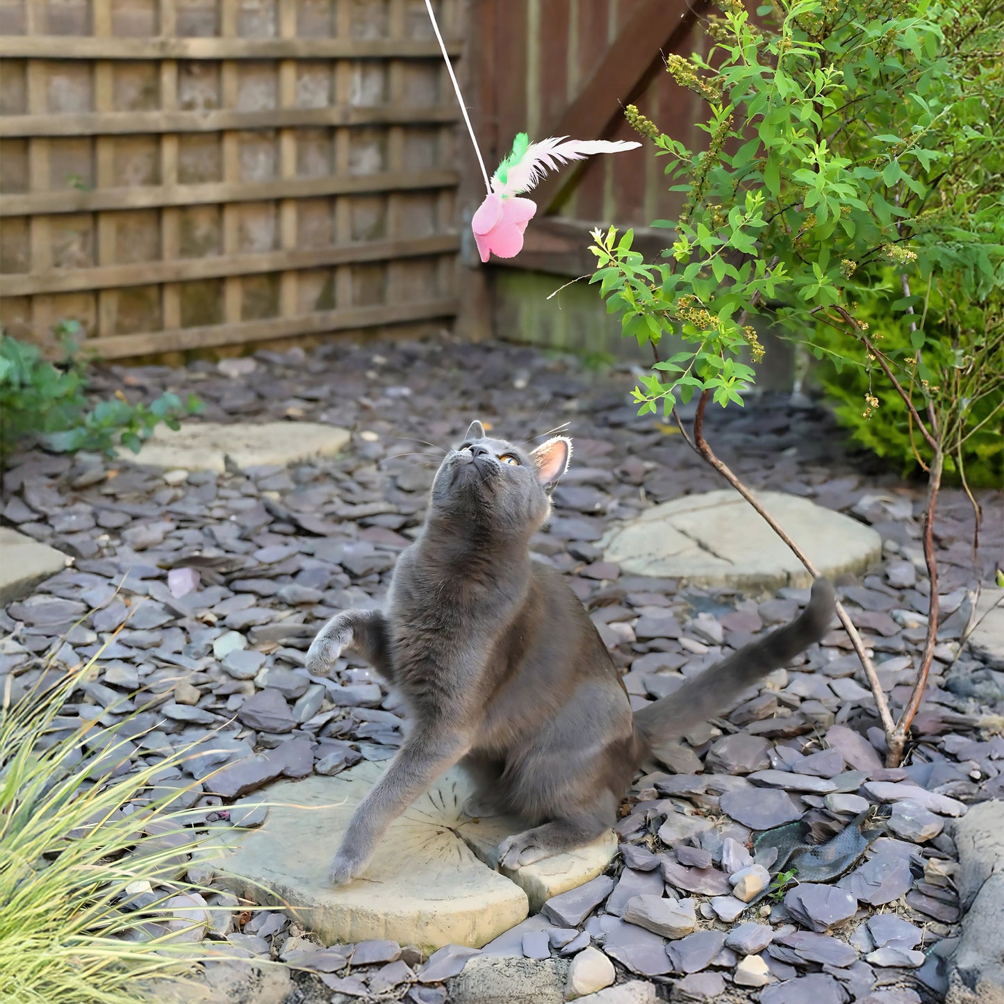 Cath Kidston Dolly Rose Single Rose Cat Teaser Toy - One Size