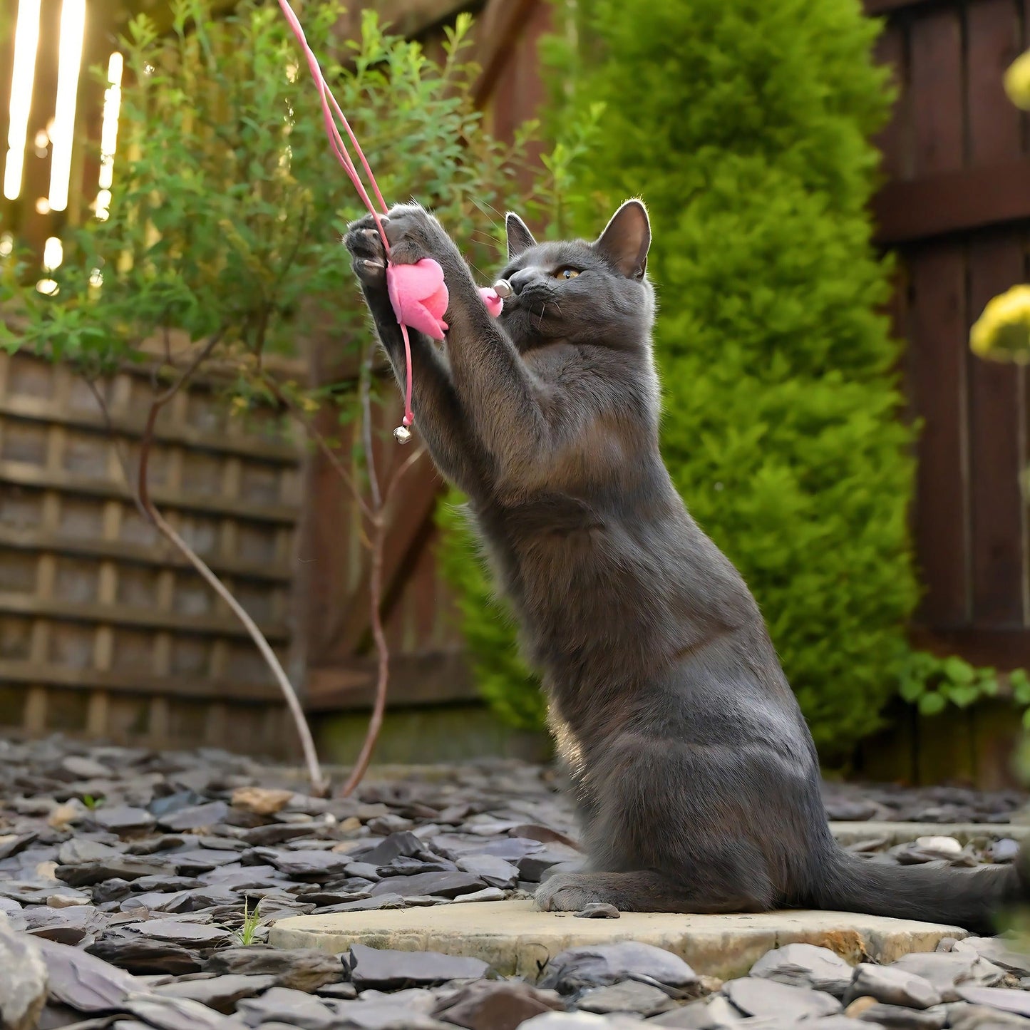 Cath Kidston Dolly Rose Double Rose Cat Teaser Toy - One Size