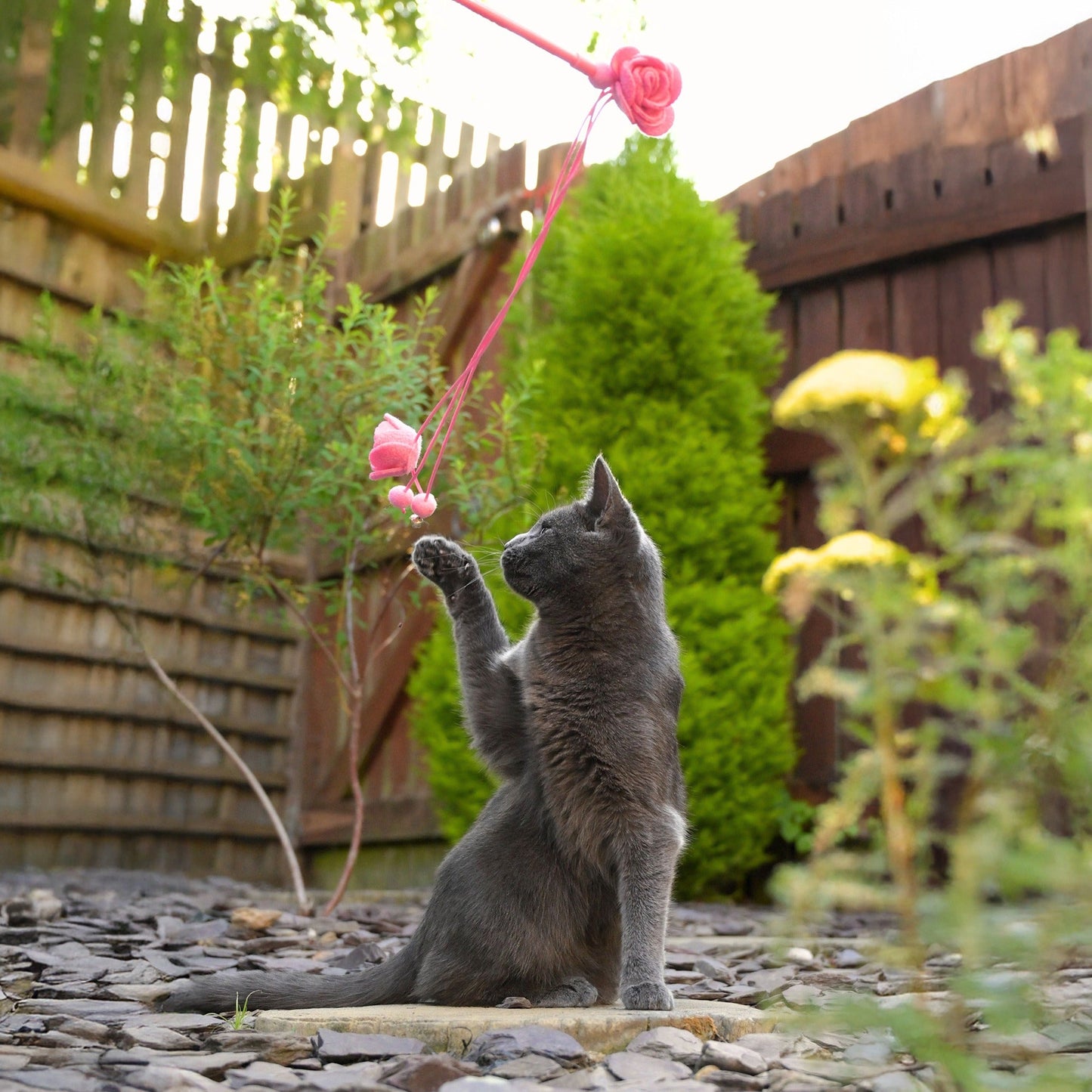 Cath Kidston Dolly Rose Double Rose Cat Teaser Toy - One Size