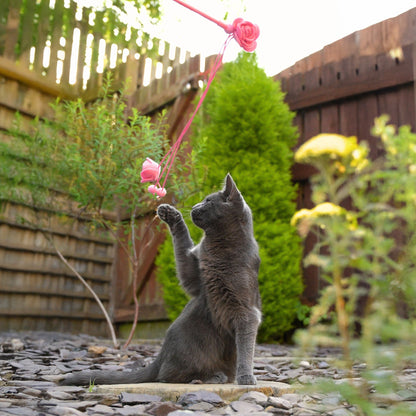 Cath Kidston Dolly Rose Double Rose Cat Teaser Toy - One Size