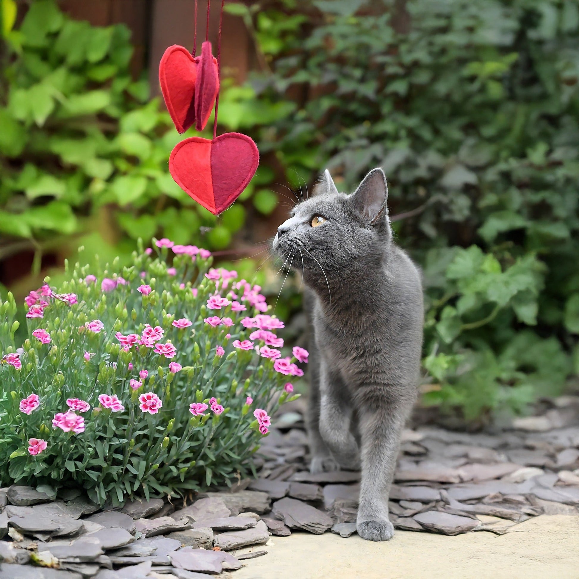Cath Kidston Dogs & Roses 3 Hearts Cat Teaser Toy - One Size