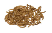 Bucktons Mealworms Wild Bird Food