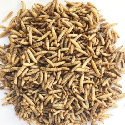 Front View of Bucktons Calciworms Wild Bird Food - 12.55kg