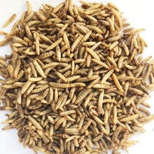 Front View of Bucktons Calciworms Wild Bird Food - 12.55kg