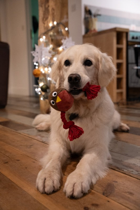 Lifestyle View of Petface Christmas Ryan Robin With Rope Plush Christmas Dog Toy - One Size