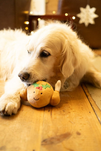 Petface Tasha Turkey Plush Christmas Dog Toy