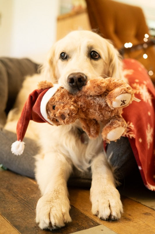 Petface Cassie Curly Christmas Teddy Dog Toy