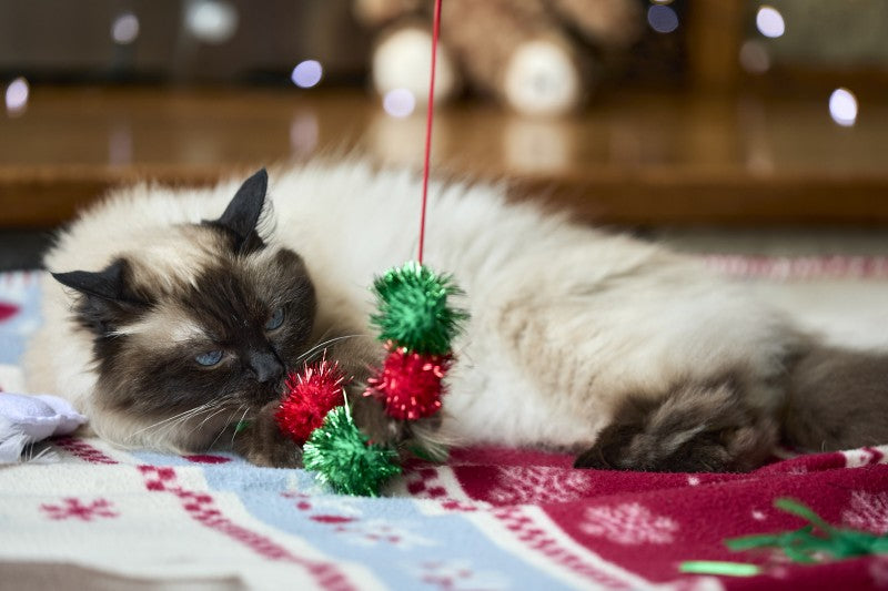 Petface Christmas Tinsel Bobble Cat Teaser Toy