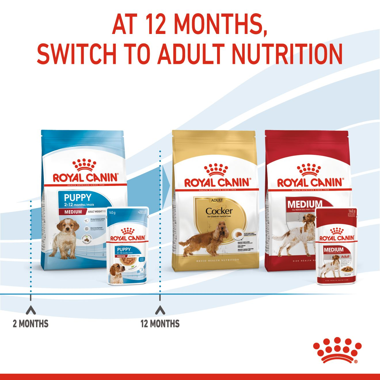 Royal Canin Size Health Nutrition Medium Puppy Multipack in Gravy Wet Dog Food