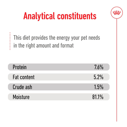 Royal Canin Size Health Nutrition Mini Adult Multipack in Gravy Wet Dog Food