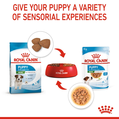 Royal Canin Size Health Nutrition Mini Puppy Multipack in Gravy Wet Dog Food