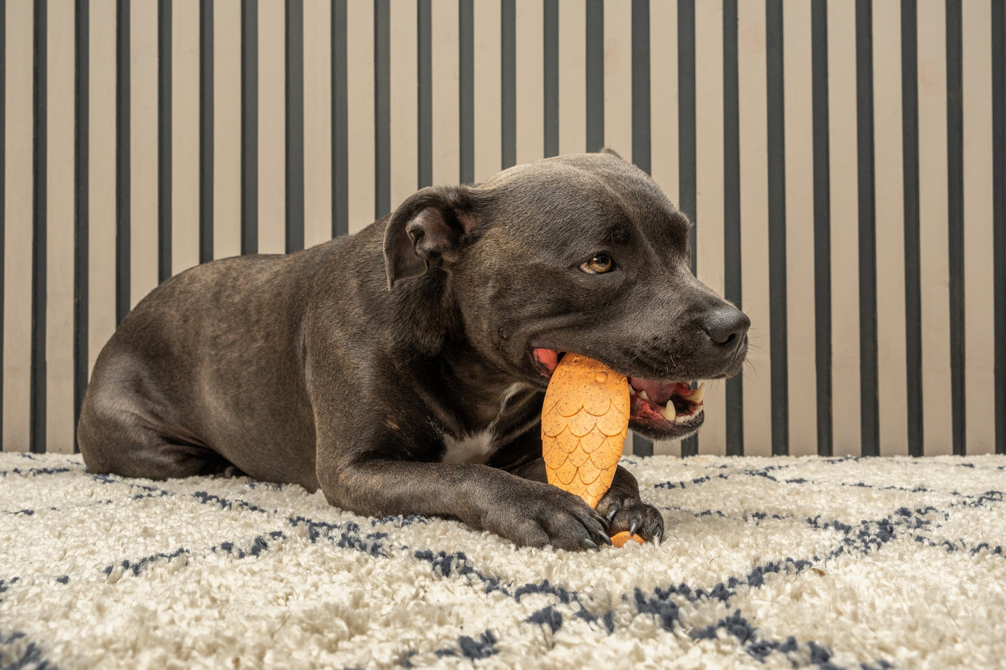 Bamboodles Fish Chew Toy for Dogs - Salmon Flavour