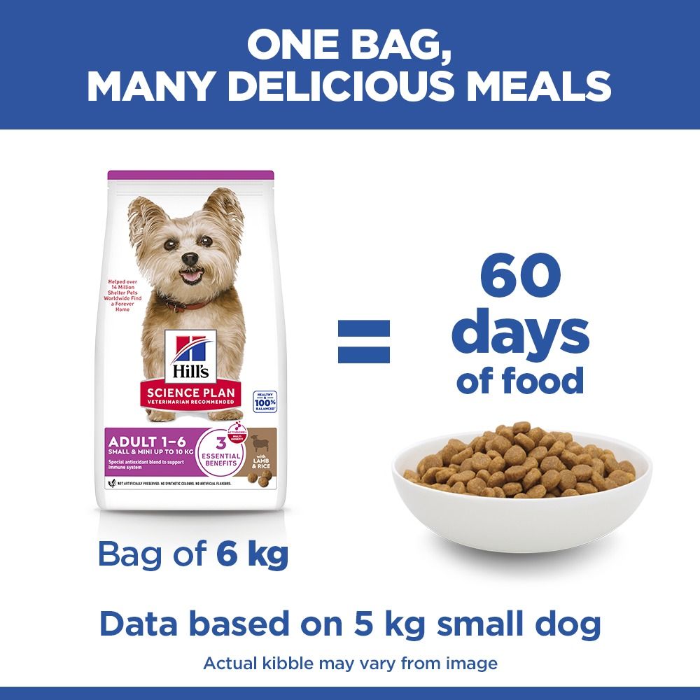 Hill's Science Plan Adult Small & Mini Breed Dry Dog Food with Lamb & Rice