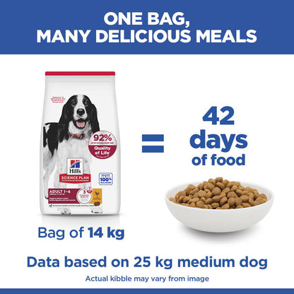 Hill's Science Plan Medium Adult 1-6 Dry Dog Food - Chicken
