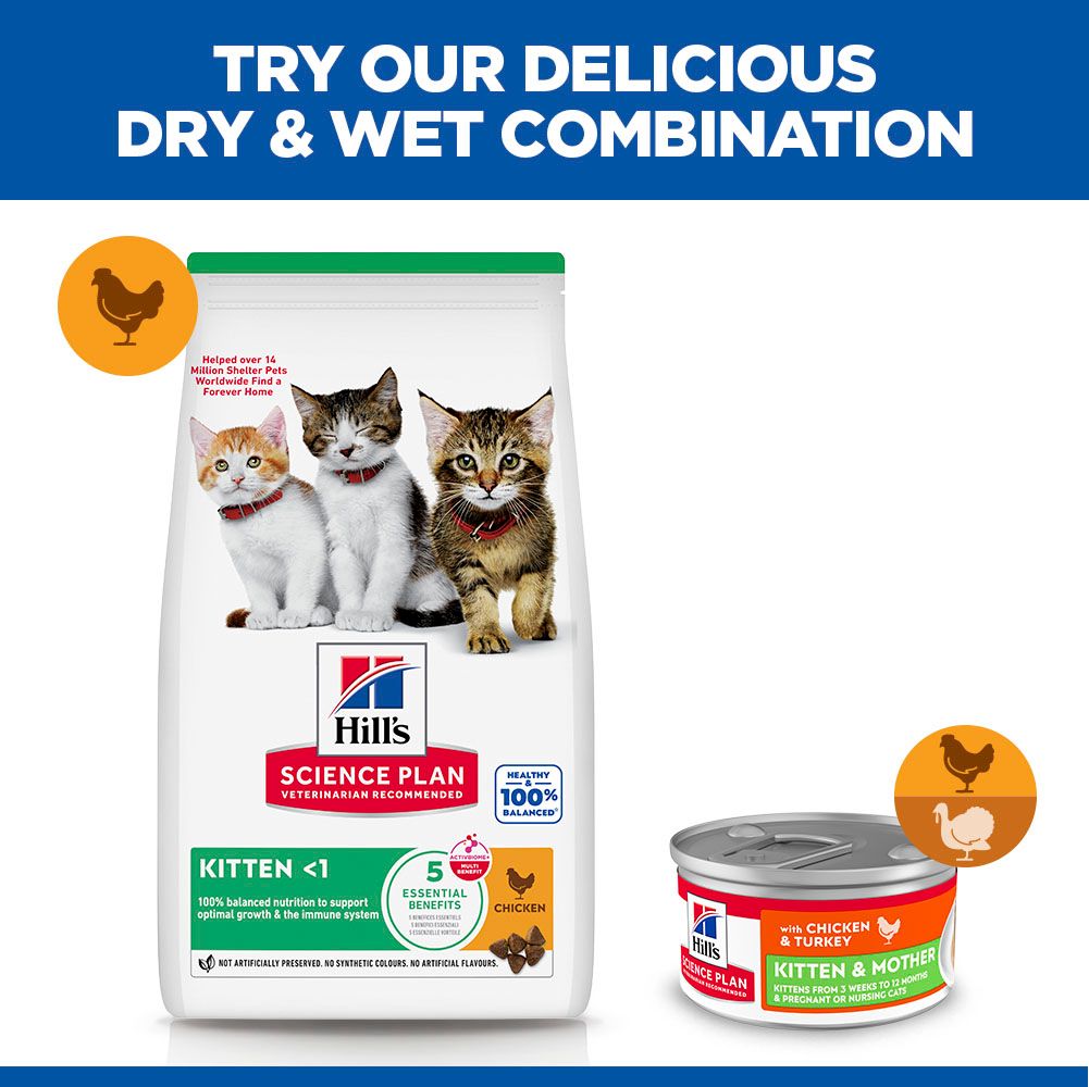 Hill's Science Plan Kitten & Mother Tender Mousse Can Wet Cat Food with Chicken & Turkey