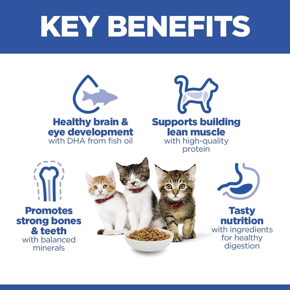 Hill's Science Plan Kitten Dry Cat Food with Salmon