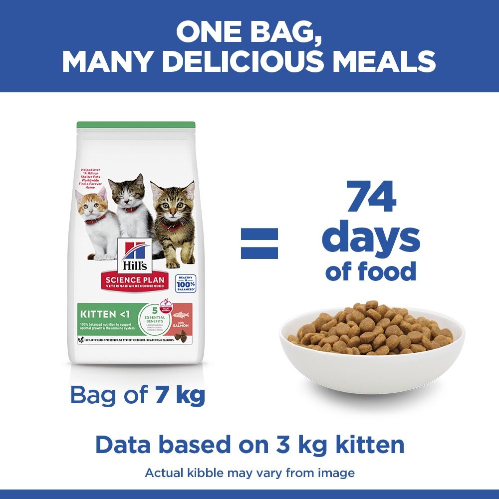 Hill's Science Plan Kitten Dry Cat Food with Salmon