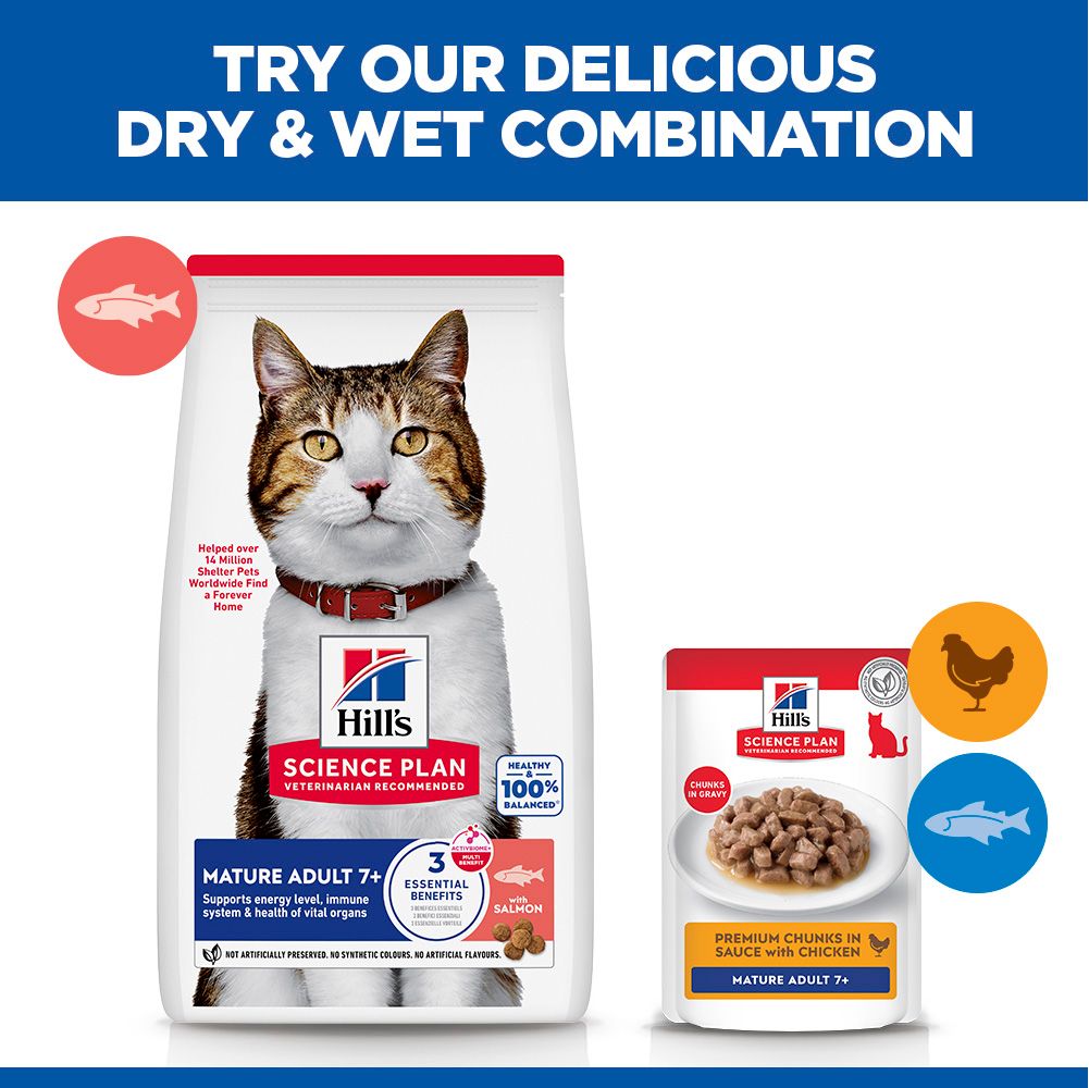Hill's Science Plan Mature Adult Dry Cat Food with Salmon