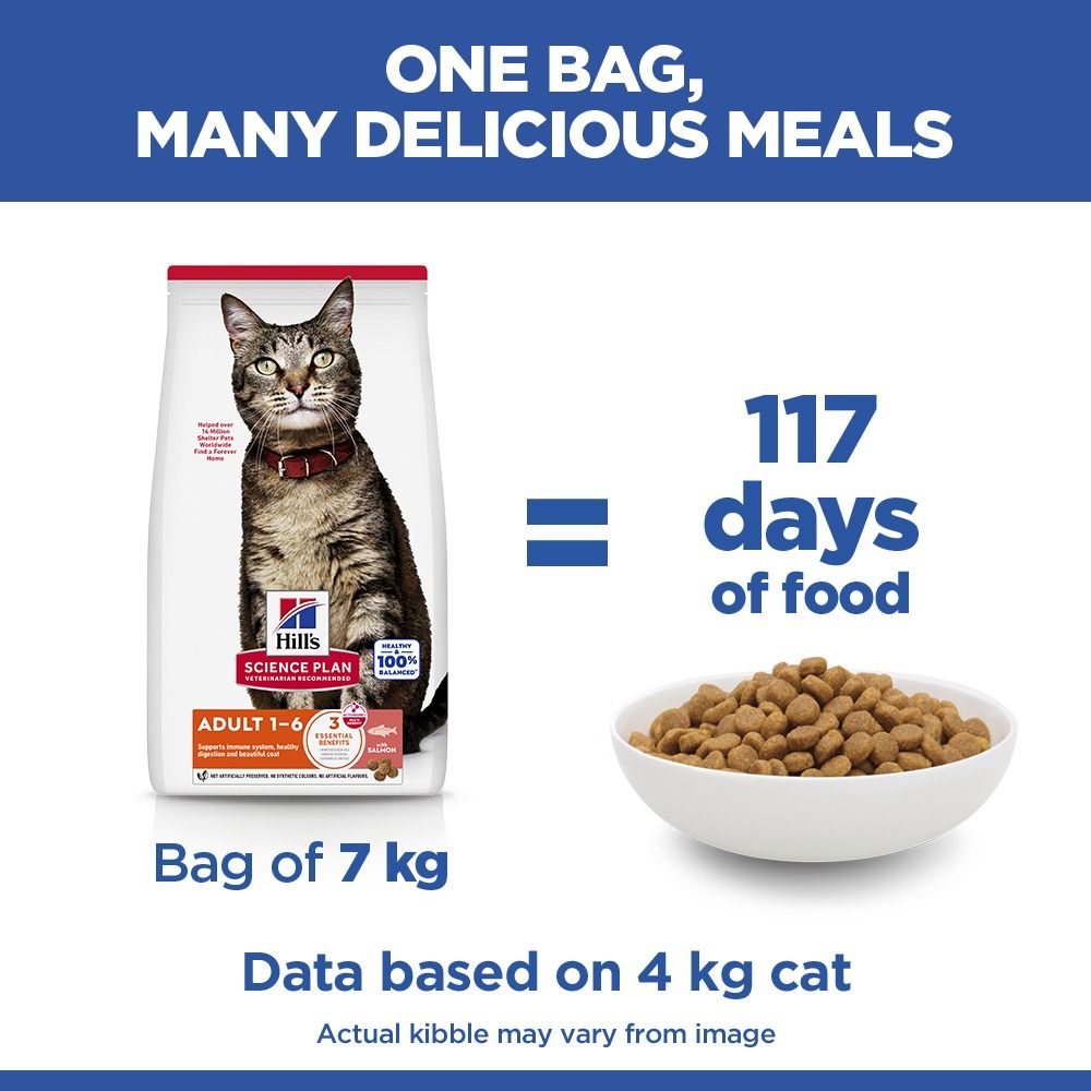 Hill's Science Plan Adult Dry Cat Food with Salmon