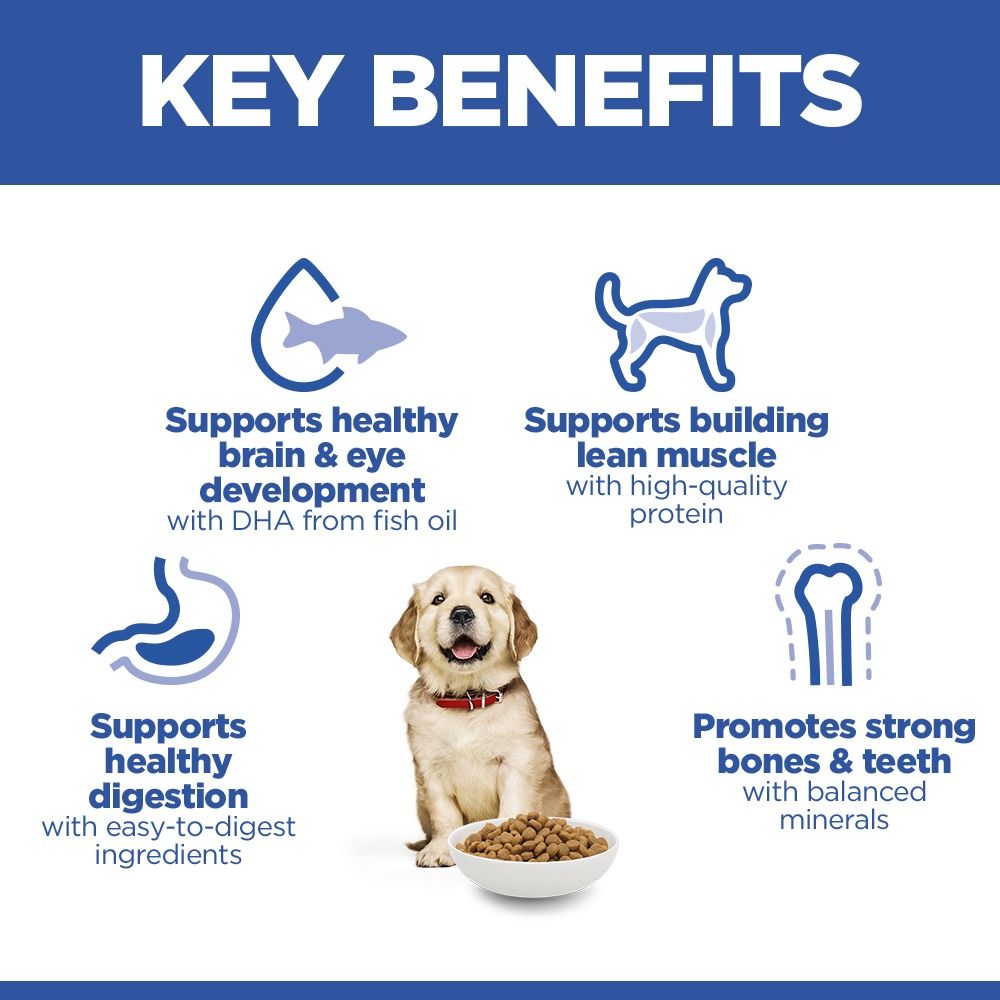 Hill's Science Plan Puppy Large Breed Dry Dog Food with Chicken