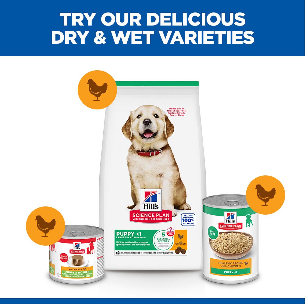 Hill's Science Plan Puppy Large Breed Dry Dog Food with Chicken