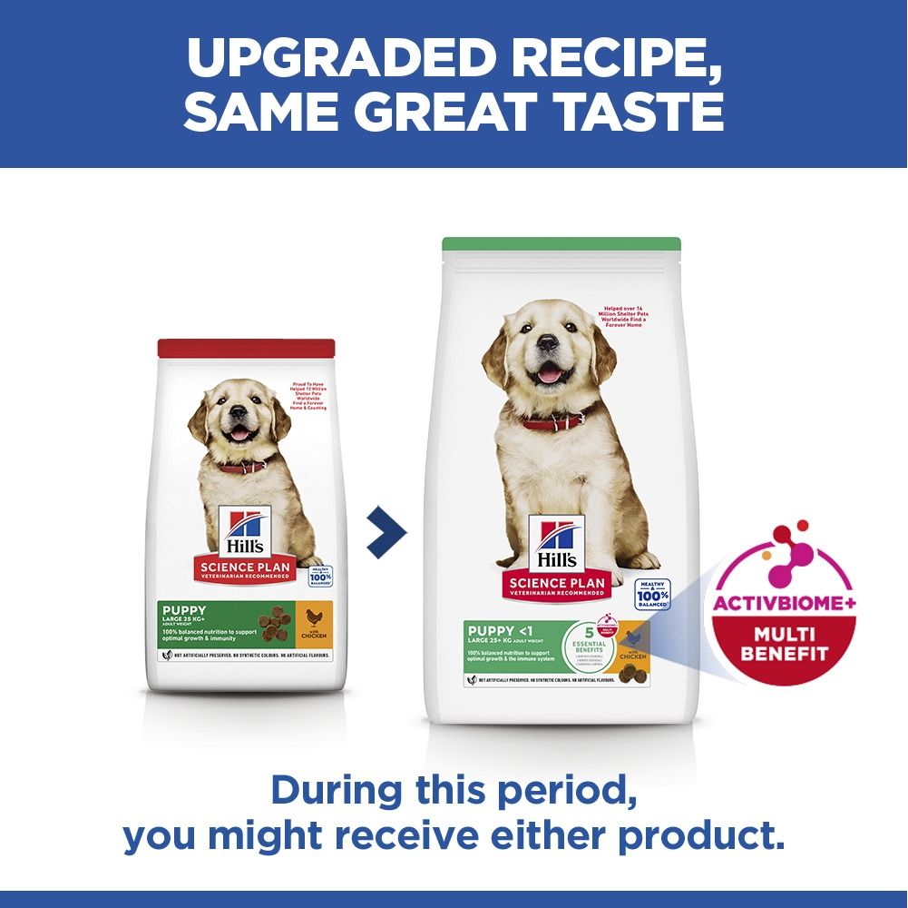 Hill's Science Plan Puppy Large Breed Dry Dog Food with Chicken