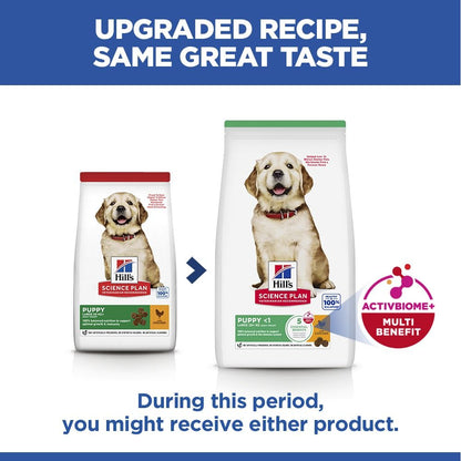 Hill's Science Plan Puppy Large Breed Dry Dog Food with Chicken