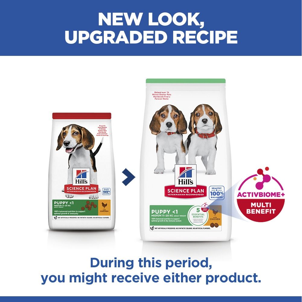 Hill's Science Plan Puppy Medium Breed Dry Dog Food with Chicken