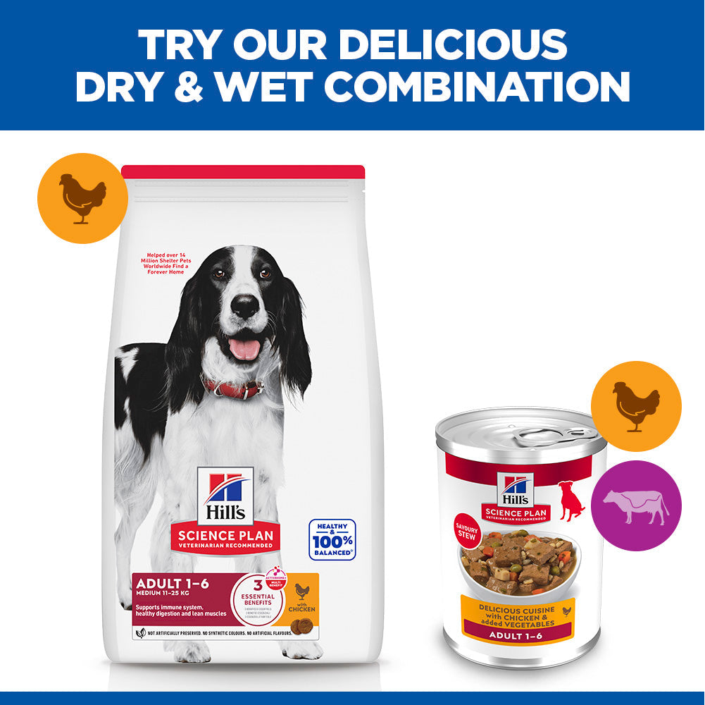 Hill's Science Plan Adult Savoury Stew with Chicken & added Vegetables Wet Dog Food