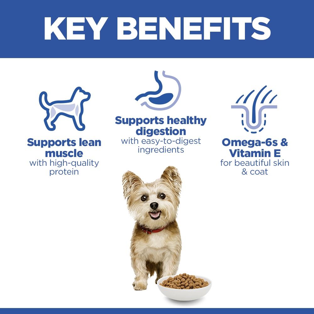 Hill's Science Plan Adult Small & Mini Breed Dry Dog Food with Chicken