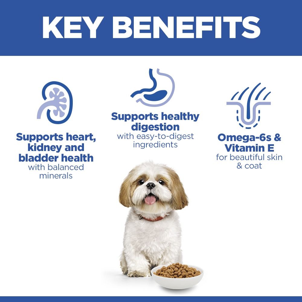 Hill's Science Plan Mature Adult Small & Mini Breed Dry Dog Food with Chicken