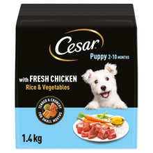 Cesar Complete Puppy Dry Dog Food with Fresh Chicken, Rice & Vegetables