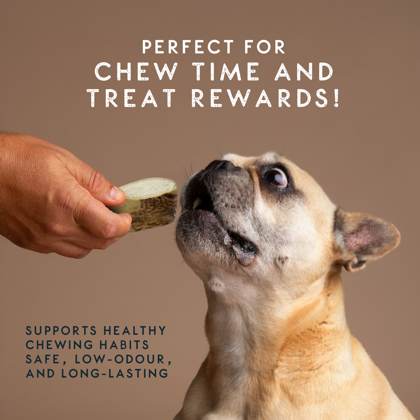 Elkwood 100% Natural Split Antler Chew | Medium