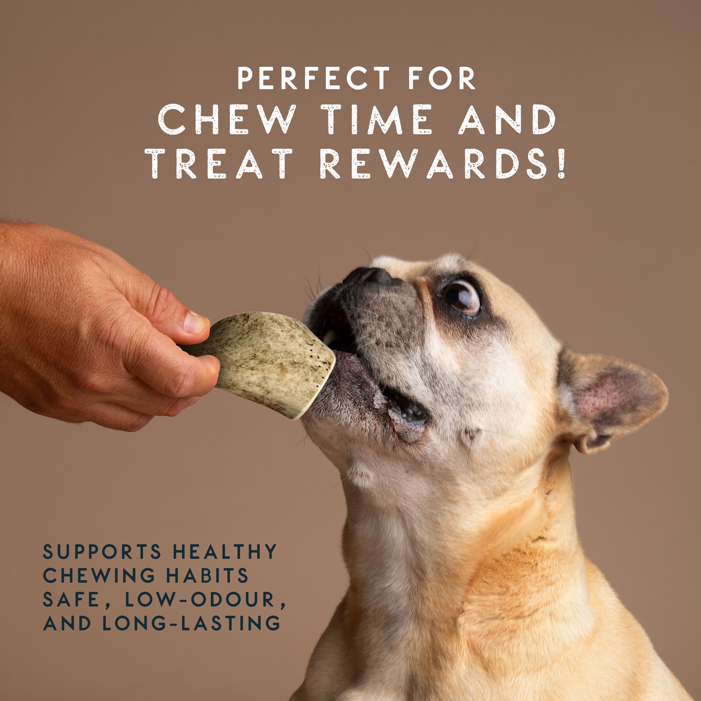 Elkwood 100% Natural Antler Chew | Giant