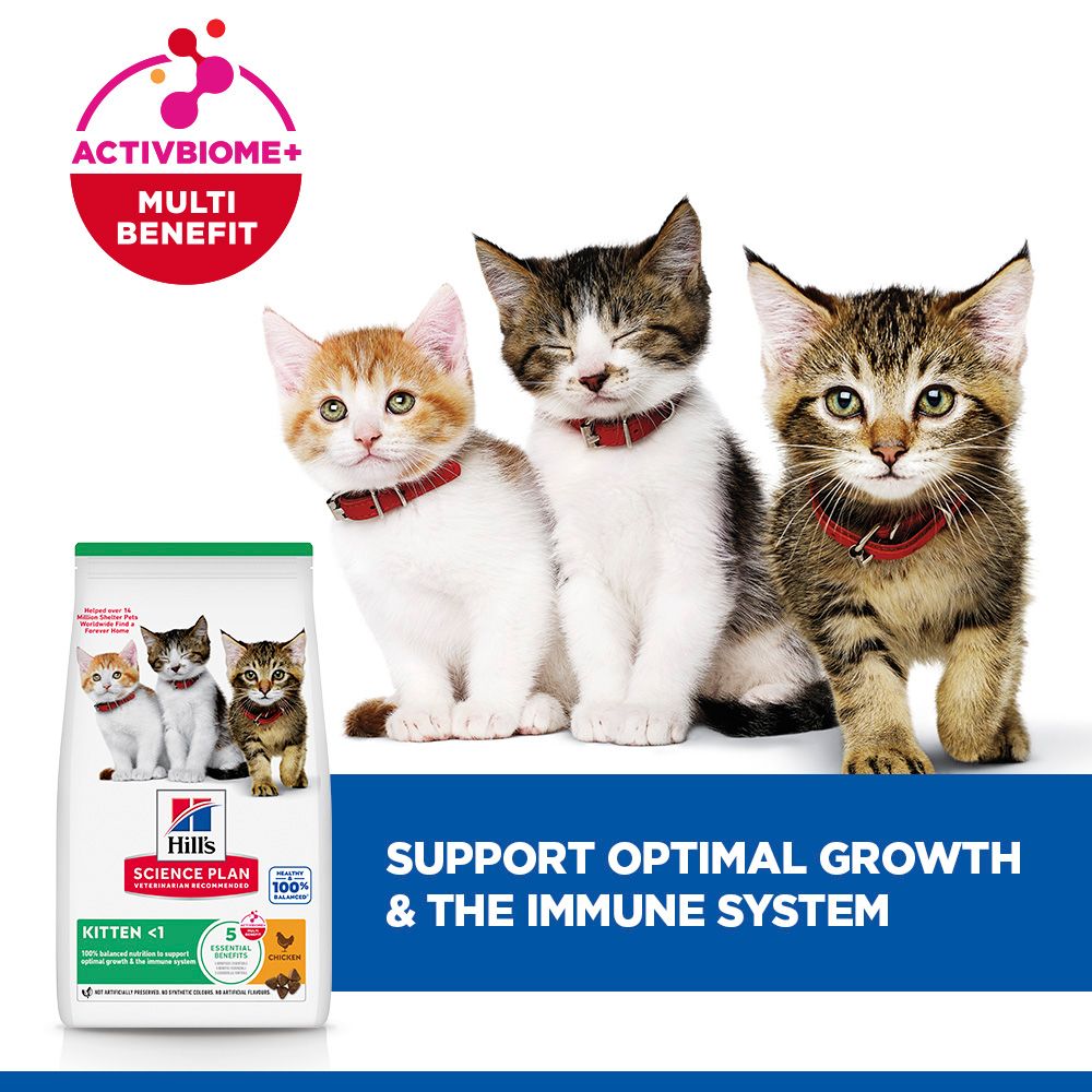 Hill's Science Plan Kitten <1 Dry Cat Food - Chicken