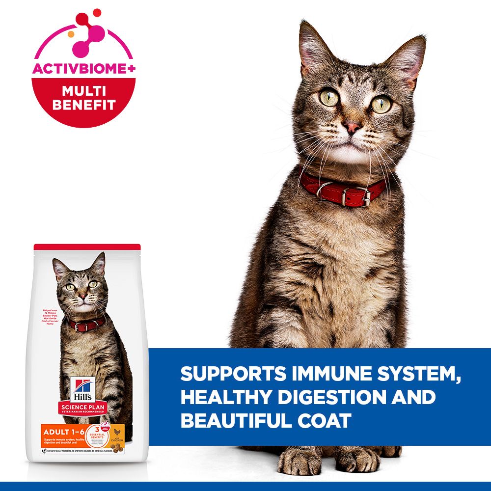 Hill's Science Plan Adult 1-6 Dry Cat Food - Chicken