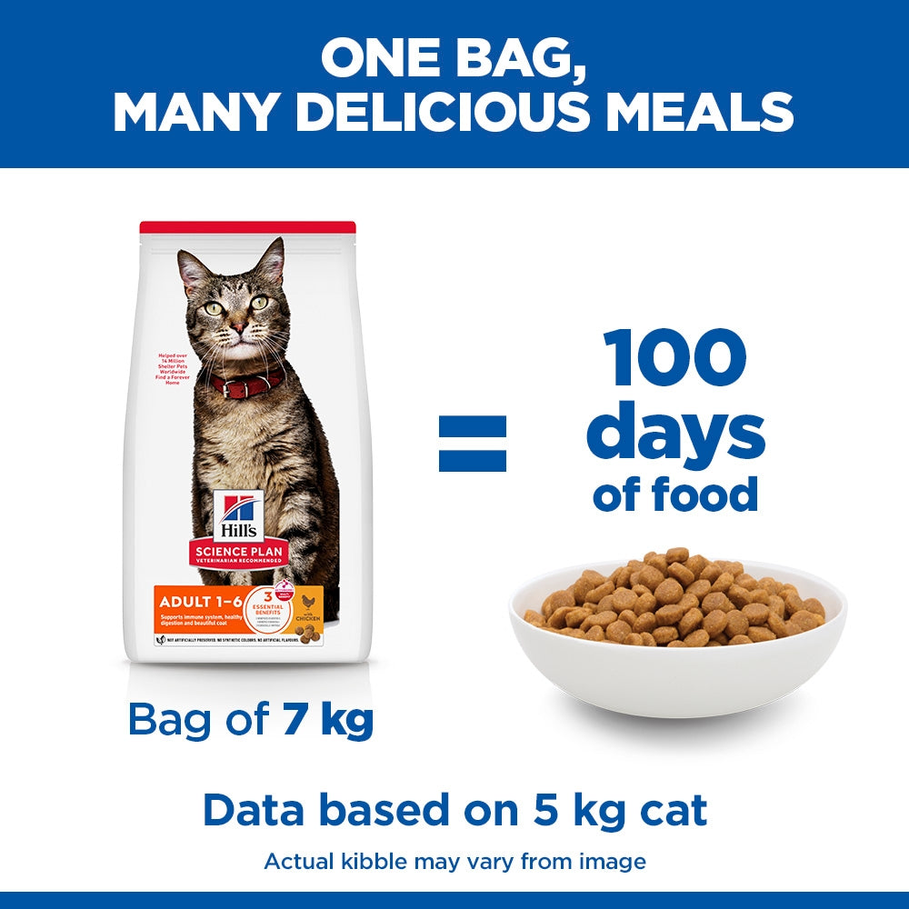 Hill's Science Plan Adult 1-6 Dry Cat Food - Chicken