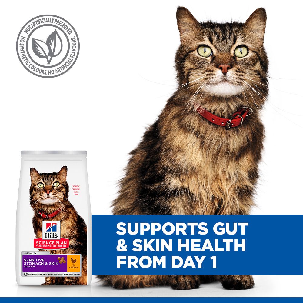 Hill's Science Plan Sensitive Stomach & Skin Adult 1+ Dry Cat Food - Chicken