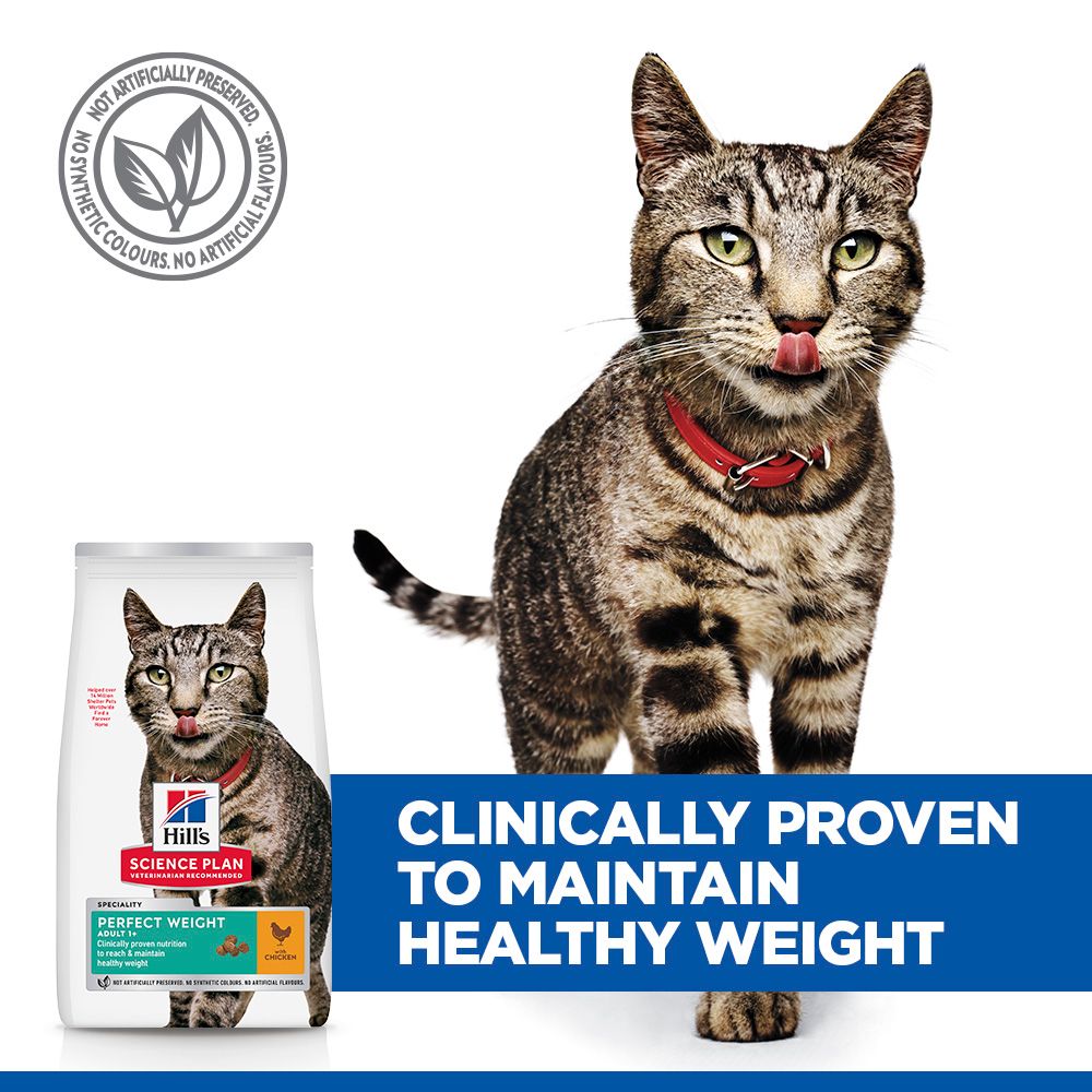Hill's Science Plan Perfect Weight Adult 1+ Years Adult Dry Cat Food - Chicken