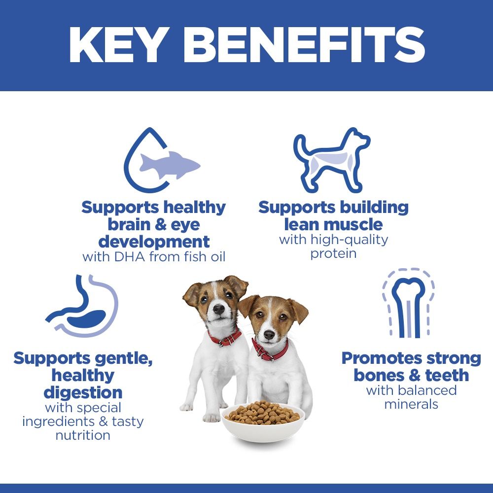 Hill's Science Plan Puppy Small & Miniature Dry Dog Food - Chicken