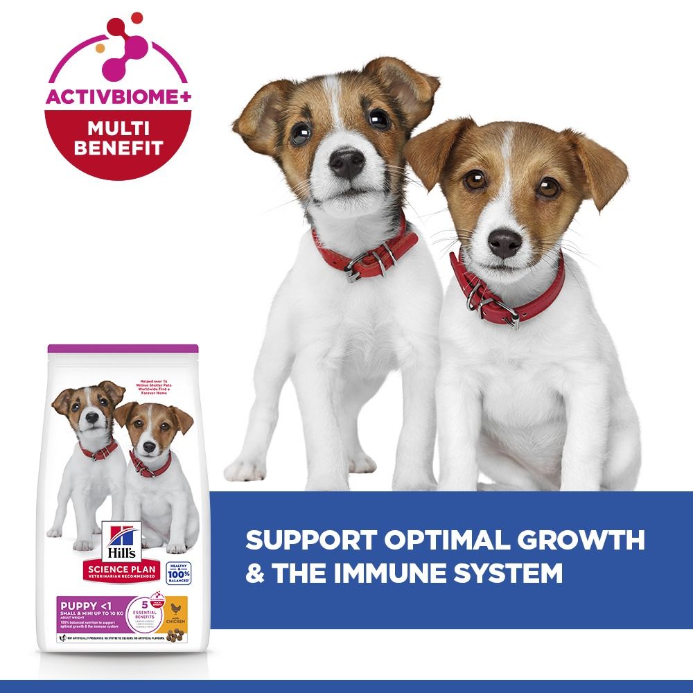 Hill's Science Plan Puppy Small & Miniature Dry Dog Food - Chicken