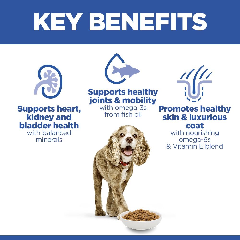 Hill's Science Plan Senior Small & Mini Dry Dog Food - Chicken