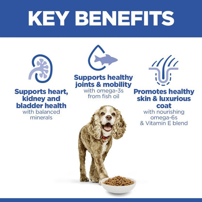 Hill's Science Plan Senior Small & Mini Dry Dog Food - Chicken