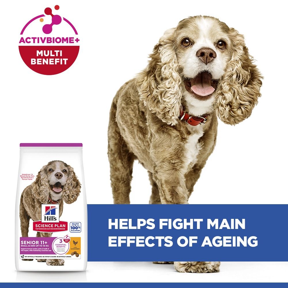 Hill's Science Plan Senior Small & Mini Dry Dog Food - Chicken
