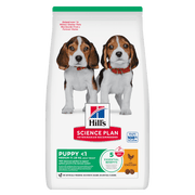 Hill's Science Plan Medium Puppy <1 Dry Dog Food - Chicken