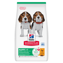 Hill's Science Plan Medium Puppy <1 Dry Dog Food - Chicken
