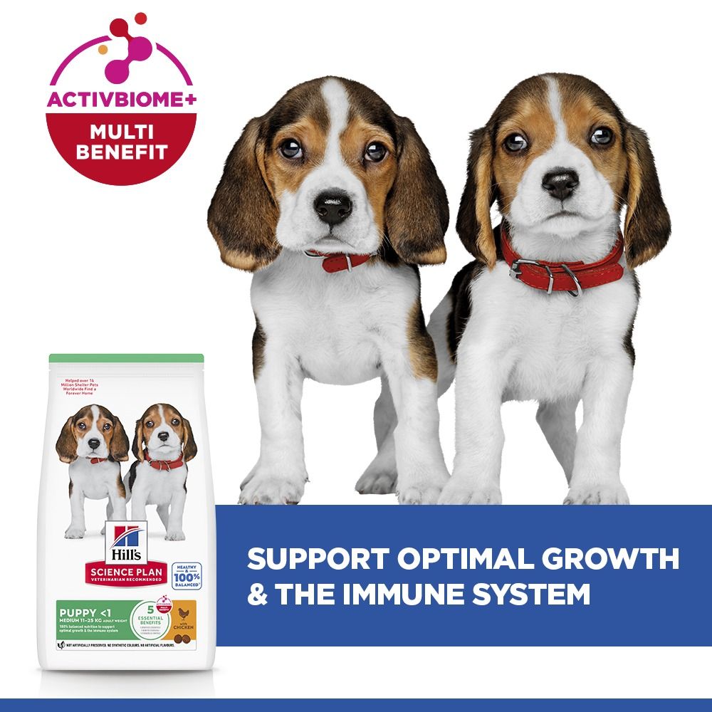 Hill's Science Plan Medium Puppy <1 Dry Dog Food - Chicken
