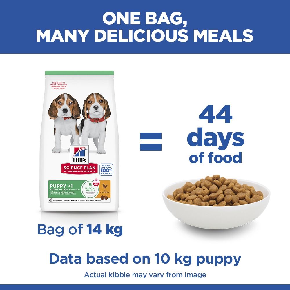 Hill's Science Plan Medium Puppy <1 Dry Dog Food - Chicken