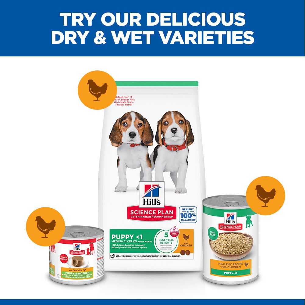 Hill's Science Plan Medium Puppy <1 Dry Dog Food - Chicken